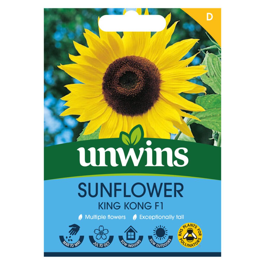 Unwins Sunflower King Kong F1 Seeds 5051618031059 2